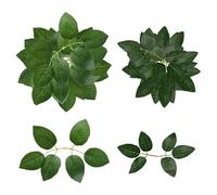 YSJCHEBS 50 Piezas De Pétalos De Rosa y Hojas Artificiales para Decoración De Plantas, Adecuado para Fiestas y Bodas