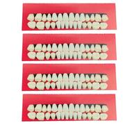 YSJCHEBS Paquete De 4 Modelos Dentales De Plástico, Material Didáctico Dental, Ejercicios Bucales Dentales, Accesorios para Juegos De rol