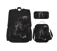 YsoLda Juego de Mochila, Mochila Escolar, Mochila, Juego de 3 Piezas con Bolsa de Almuerzo, Estuche para lápices,Cane Corso Mascotas Cachorro Cane Corso Negro