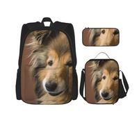 YsoLda Juego de Mochila, Mochila Escolar, Mochila, Juego de 3 Piezas con Bolsa de Almuerzo, Estuche para lápices,Rough Collie Lassie Perros Perros Grandes Y Esponjosos Mascotas