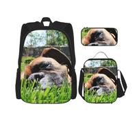 YsoLda Juego de Mochila, Mochila Escolar, Mochila, Juego de 3 Piezas con Bolsa de Almuerzo, Estuche para lápices,Perros Boxer Hierba Verde Mascotas Perros De Césped