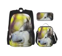 YsoLda Juego de Mochila, Mochila Escolar, Mochila, Juego de 3 Piezas con Bolsa de Almuerzo, Estuche para lápices,Alaskan Malamute Bokeh Mascotas Perros Lindo