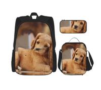 YsoLda Juego de Mochila, Mochila Escolar, Mochila, Juego de 3 Piezas con Bolsa de Almuerzo, Estuche para lápices,Cocker Spaniel Cachorro Spaniel Pequeño Perros Mascotas