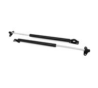 YSQIFBABD Muelle Gas para Lexus RX300 1999-2003, portón Trasero, Ventana, Maletero, puntales Gas, Soporte Asistencia, Resorte elevación, Amortiguador 6895049016 Resortes abatible