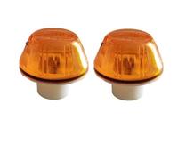 YSQOJF Luces Giro Indicadoras 2 Luces LED E12 Para Camión Para MAN, Para TGA, Para TGX Para TGS (81253206115 Y 81253206117), Ámbar Y Blanco Luces Señalización Laterales(2pcs amber case)