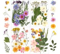 YSWOVUO 90 Piezas Naturales Flores Prensadas Secas, Kit de Hojas Secas de Flores Auténticas, Flores Secas Decoracion para DIY Manualidades de Resina Fabricación de Joyas Scrapbook Jabón Vela