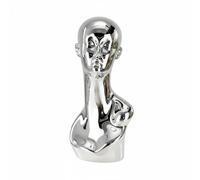 YsXoWiui Cabeza de Maniquí Soporte Expositor Busto de Cuello Hombros Forma Decorativa Superficie Lisa Acabado Brillante para , Plateado , Rasgos Faciales