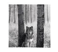 Ysyqkn Juego de 2 Cortinas con de Animales para Adolescentes, Lobo gris, tal como se describe
