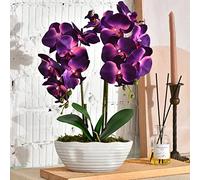 YSZL Orquídea Artificial Grande en Maceta, arreglo Floral de Seda con jarrón de cerámica, Morado Oscuro