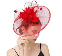 YTBHSHXZ, Sombrero de velo de malla for mujer, pinza for el pelo, tocado de boda con punta ondulada, horquillas for el pelo de novia, tocado for boda(Red)