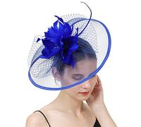 YTBHSHXZ, Sombrero de velo de malla for mujer, pinza for el pelo, tocado de boda con punta ondulada, horquillas for el pelo de novia, tocado for boda(Blue)