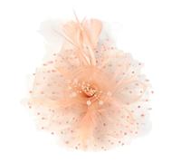 YTBHSHXZ, Sombrero Fedora con plumas y velo de malla for mujer, con pinzas for el pelo, accesorio for el cabello for boda, novia, cóctel(Champagne)