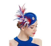 YTBHSHXZ， Tocado de boda for mujer, tocado de plumas, accesorio for el cabello con pinza for el pelo for fiesta(As picture3)