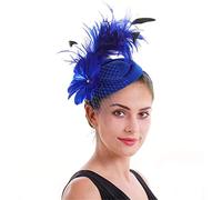 YTBHSHXZ， Tocado de malla for boda, tocado de plumas for mujer, velos, accesorios for el cabello(Royal Blue)
