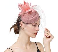 YTBHSHXZ, Tocado for mujer con velo y pinza for el pelo, accesorio for el pelo con plumas, ideal for cócteles, fiestas de té.(As picture)