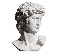 YTOOZ David Busto esculturas, Estatua Griega Michelangelo David Estatua Escritorio Yeso Art Deco Regalo