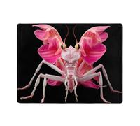 YTUOPWE Alfombra antideslizante de 63 x 48 pulgadas, imagen de mantis rezando con buena absorción de agua, adecuada para cocina, baño y sala de estar