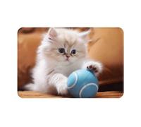 YTUOPWE Felpudo de 40,6 x 61 cm, diseño de gato persa jugando con una bola, absorbe el agua, antideslizante, para puertas delanteras, entradas y baños