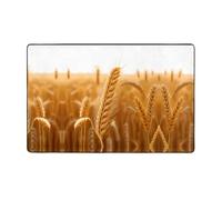YTUOPWE Golden wheat fields - Alfombra de tela de franela de 60 x 39 pulgadas para sala de estar, oficina, mesa de café, cama, balcón