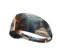 YTUOPWE Oso polar en invierno, diadema elástica para ejercicio, cinta deportiva para hombres y mujeres, suave, de secado rápido