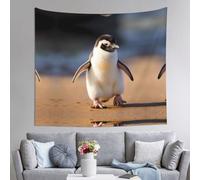 YTUOPWE Tapiz de pingüino pequeño aprendiendo a caminar, 152 x 129,5 cm, suave, ligero para uso en interiores y exteriores. Para dormitorio, decoración de dormitorio, manta de playa, paños de picnic