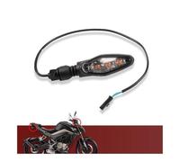 YTVPPKLGG luz intermitente led Piezas De Motocicleta, Señal Giro Delantera Y Trasera, Señales Izquierda Derecha Para CF250SR 300SR 300SS 250NK CF250-6-A