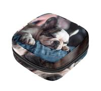 YTYVAGT Bolsa de período, bolsa de almacenamiento de servilletas sanitarias, soporte para tampones para monedero, B01i1kx3wwk, 4.7x6.6x6.6 in, Moderno