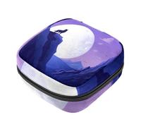 YTYVAGT Bolsa de período, bolsa de almacenamiento de servilletas sanitarias, soporte para tampones para monedero, B70y1ni4cmx, 4.7x6.6x6.6 in, Duradero
