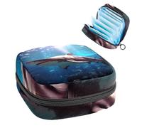 YTYVAGT Bolsa de período, bolsa de almacenamiento de servilletas sanitarias, soporte para tampones para monedero, Q92b7gu4hif, 4.7x6.6x6.6 in, Classic