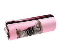 YTYVAGT Estuche para lápices, estuches para lápices, estuche para bolígrafos, A29p4gc2wix, 7.9x2.5 in, Multifuncional: