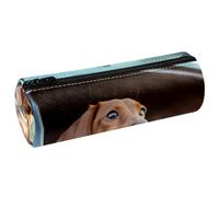 YTYVAGT Estuche para lápices, estuches para lápices, estuche para bolígrafos, S77v6if1jqy, 7.9x2.5 in, Multifuncional: