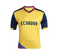 YuanDiann Qatar Copa Mundial de Fútbol Camiseta Fans Impresión Entrenamiento Deportivo Remeras de Futbol Secado Rápido Elástico Manga Corta Cuello Redondo World Cup T Shirt Ecuador S