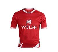 YuanDiann Qatar Copa Mundial de Fútbol Camiseta Fans Impresión Entrenamiento Deportivo Remeras de Futbol Secado Rápido Elástico Manga Corta Cuello Redondo World Cup T Shirt Gales L