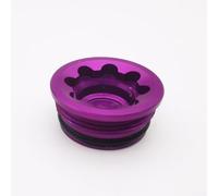 Yuanpgky Tapa de pinza de freno de disco hidráulico para Hope Tech 3 E4, cubierta de orificio de freno de aleación de aluminio, tamaño grande 19,8 x 9,2 mm, 5 g, rojo/verde/morado/plateado (morado)