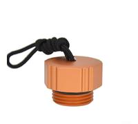 Yuanpgky Tapón antipolvo para válvula de tanque regulador de primera etapa DIN, compatible con accesorios de buceo, aleación de aluminio ligera, portátil con (L)