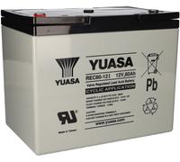 Yuasa Batería Plomo Ácida REC80-12I, 12V 80Ah Ciclaje, Rosca Interior M6