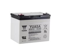 Yuasa REC36-12I 12V Batería cíclica de Plomo-ácido, de Ciclo Profundo y sin Mantenimiento, para Scooters de Movilidad, carritos de Golf y Otras Aplicaciones cíclicas (Paquete de 1)