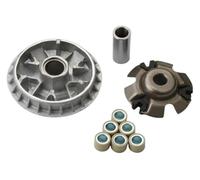 yuegu Kit variador con juego de rodillos 20 g compatible scooter Maxxer300 MXU300 People300S Xciting300 300 cc Euro3. Reemplaza 22110-KHE7-900 y 22131-LBA7-900