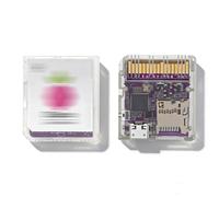 YUEHISY Lector de Tarjetas de Juego, Cartucho Flash para Juegos DS, Velocidad de Lectura de 6 MB/s, MCU RP 2040, Doble Potencia, Código Abierto, para Desarrollador de Copia de (Negro transparente)