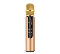 YUEHISY Micrófono de Karaoke de Bluetooth Inalámbrico, Micrófono Portátil de Altavoz para la Fiesta para la Fiesta de Cumpleaños Regalos para Niños Adultos (Gold)