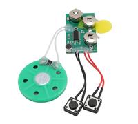 YUEHISY Módulo de Sonido Grabable, Módulo de Grabación de Voz de Reproducción de Bucle de 120s con Sonido Claro y Llave Activada, para Tarjetas de Felicitación y Cajas Actuales