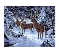 Yuehuam - Kit de pintura al óleo con números para niños, estudiantes, adultos y principiantes, 40 x 50 cm, sin marco