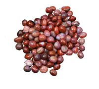 YUEKOPOU Guijarros,Piedras Decorativas Naturales, Decorative Pebbles for Indoor, Fish Tank Rocks, Natural Mixed Color River Rocks for Plants, Vase Fillers, Landscaping Rocks, Aquarium Rocks,L(L)