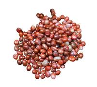 YUEKOPOU Guijarros,Piedras Decorativas Naturales, Decorative Pebbles for Indoor, Fish Tank Rocks, Natural Mixed Color River Rocks for Plants, Vase Fillers, Landscaping Rocks, Aquarium Rocks,L(S)