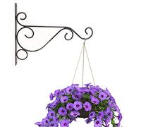 Yueton - Juego de 2 ganchos de pared de hierro fundido para pajareras, macetas, faroles de viento, como soportes de pared, 25,4 cm