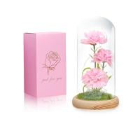 Yugefom Flores de clavel, regalos para mujeres, regalos del día de San Valentín para ella, regalos de clavel para cumpleaños, aniversario, rosa en cúpula de cristal con lámpara LED (3 claveles