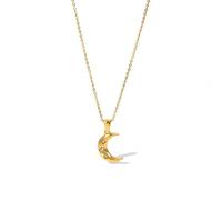 YUGSHNKFC Collar con colgante de acero inoxidable con circonita cúbica, unisex, chapado en oro, resistente al agua, Acero inoxidable
