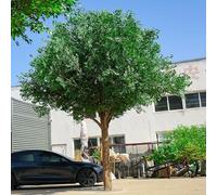 YUGXTH Plantas Artificiales Decorativas, Ficus Artificial, Árboles Artificiales Altos de Interior con Tronco Natural, Plantas Artificiales, Adornos para Paisajismo(H180xL120cm/70.8x47.2in)