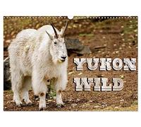 Yukon Wild (Wall Calendar 2026 DIN A3 landscape), CALVENDO 12 Month Wall Calendar: The legendary twelve wild animals of the Yukon, Canada photographed in action.