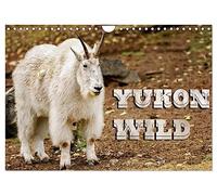 Yukon Wild (Wall Calendar 2026 DIN A4 landscape), CALVENDO 12 Month Wall Calendar: The legendary twelve wild animals of the Yukon, Canada photographed in action.